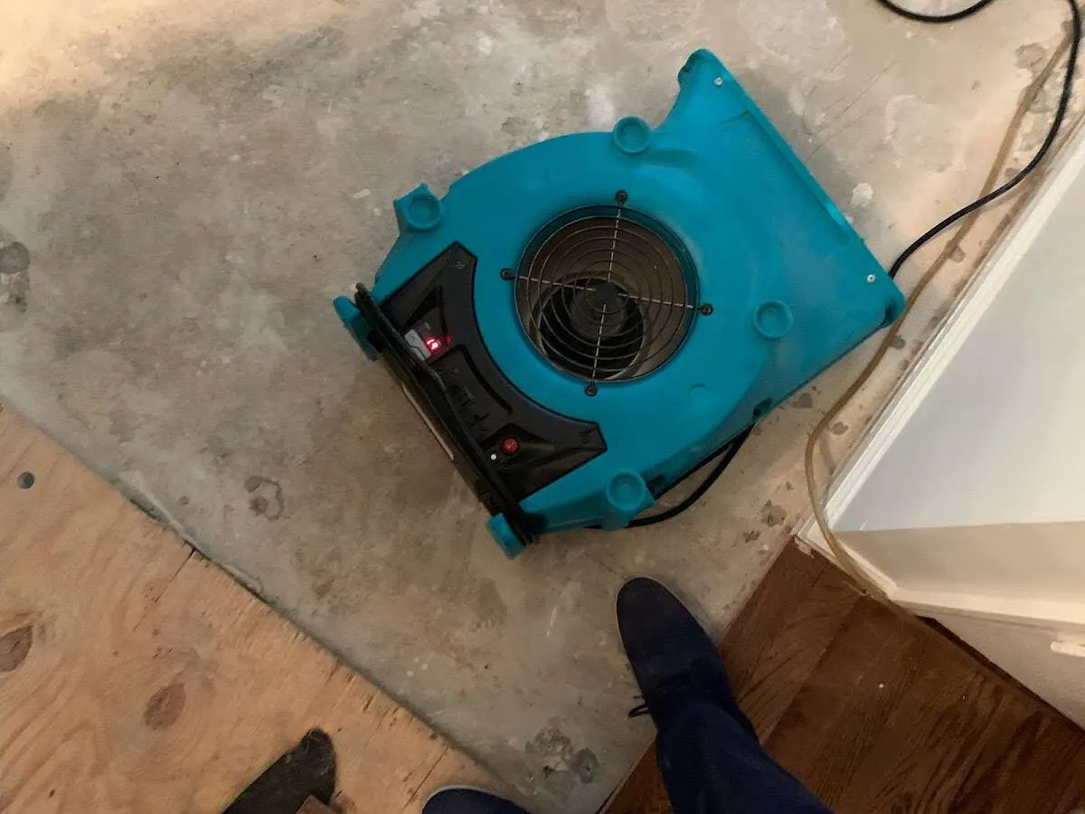 Air mover drying subfloor during Leak Detection & Repair in Beech Grove
